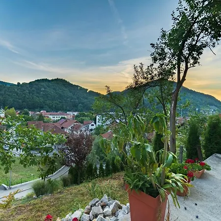 Vidik * Ivanjica