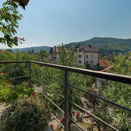 Vidik Ivanjica